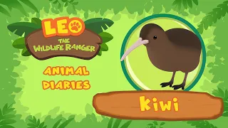 Kiwi | Flightless Bird | Leo the Wildlife Ranger | Fun Animal Facts