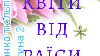 Вигонка тюльпанів, продовження. Частина 2.