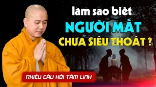 Làm sao biết Người Mất CHƯA SIÊU THOÁT - Thầy Thích Pháp Hòa