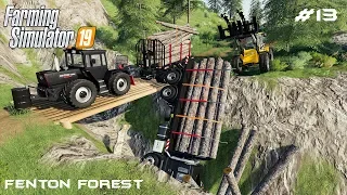 Cleaning accident | Forestry on Fenton Forest | Farming Simulator 19 | Episode 13