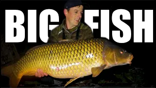 GOLDEN CARP !! NOT A FISHERMAN BUT A DREAM !!!BIG FISH CARP