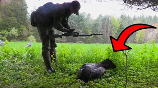 MY TURKEY HUNT was RUINED, then THIS HAPPENED!