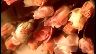 How It's Made - Fresh Cut Flowers - Season 3