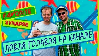 Ловля голавля на канале. Спиннинг Favorite Synapse Twitch Special  SYST-602UL