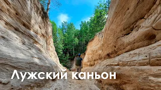 Лужский каньон | Интересные места Ленинградской области
