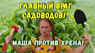 УНИЧТОЖАЕМ ХРЕН! Как избавиться от хрена? Как бороться с хреном на дачном участке? Борьба с хреном