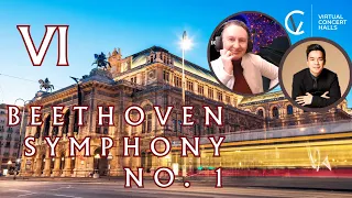 Magnificent Nine! Beethoven Symphony No. 1. Part VI