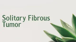 Solitary fibrous tumor | Symptoms | Causes | Treatment | Diagnosis aptyou.in