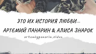 ИСТОРИЯ АРТЕМИЯ ПАНАРИНА И АЛИСЫ ЗНАРОК ❤️