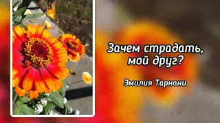 Зачем страдать, мой друг? (+)