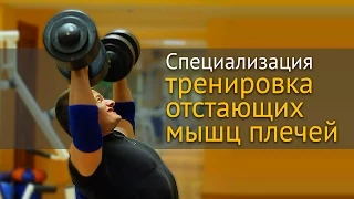 Специализация. Тренировка отстающих мышц: плечи