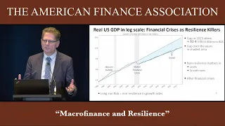 Macrofinance and Resilience