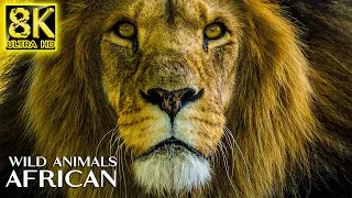 Majestic Wild Animals of AFRICAN in 8K TV HDR 60FPS ULTRA HD - Relax Music with Real Nature Sounds