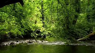 RELAXING NATURE SOUNDS, BIRDSONG AND BUBBLING STREAM FOR STRESS RELIEF, SLEEP, MEDITATION