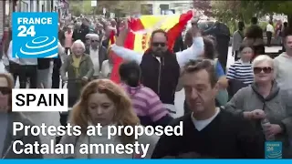 Tens of thousands protest across Spain at proposed Catalan amnesty • FRANCE 24 English