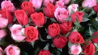 💐 С Днём Рождения Ирина 💐 Музыкальное видео Поздравление  для Ирины 💐 Ира С Днём рождения 💐