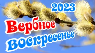 С Вербным воскресеньем! Поздравляю от души! Счастья вашему дому!