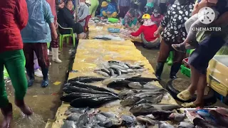 Dẫn hai tây con đi chợ cá (Fish market in Tam Quan, Binh Dinh, Vietnam)