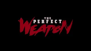 The Perfect Weapon (1991) - Opening Credits/I've Got the Power - Jeff Speakman