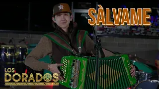 Los Dorados - Sálvame (En Vivo)