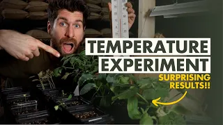 What's the BEST Temperature for Starting Seeds Indoors?