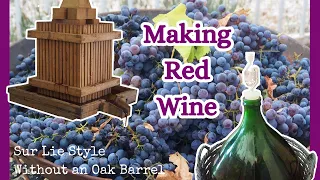 Vine to Bottle - Harvesting Grapes and Making Red Wine