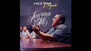 Hector Delgado - Acuerdate de Mi