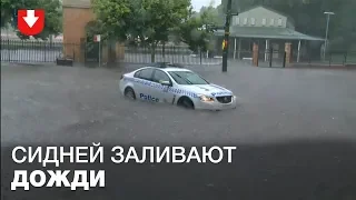 Девять человек в больнице, один — погиб. На Сидней обрушились ливни