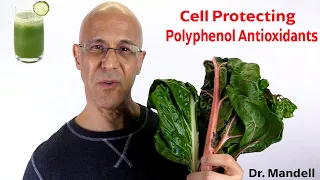 Protect and Heal the Cells of Your Body | Dr Alan Mandell, DC