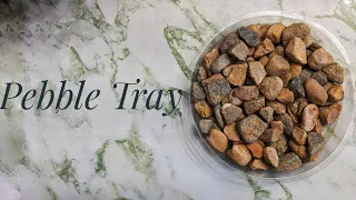 Why you should use Pebble Trays.