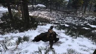 The Best Ways to Find Bears in "Red Dead Redemption" : Super Ogden Brothers