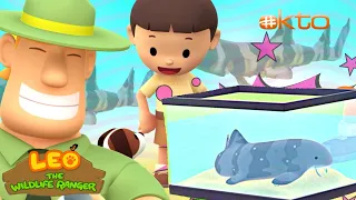 Leo the Wildlife Ranger | BABY SHARK, Predators At Sea🦈 | FULL EP | @mediacorpokto      ​