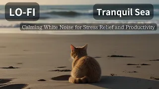 Tranquil Sea: Calming White Noise for Stress Relief and Productivit/study/sleep/relax/ocean wave