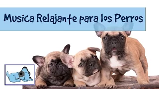 Musica relajante para perros y cachorros, musica tranquilizante