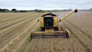 New Holland  - TF44 - 2020 harvest