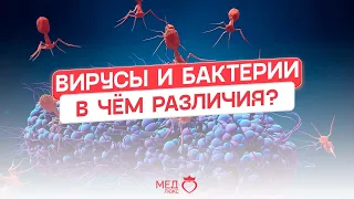 Вирусы и бактерии | В чём же разница?
