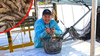 My First Time Trawling For Louisiana Shrimp