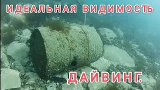 Богатства японского моря. Дайвинг Владивосток. Дайвинг в Приморье.