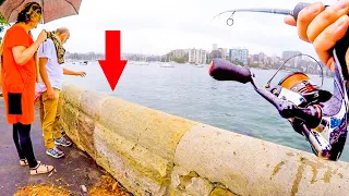 CRAZY Sesh Sydney Harbour Squid - Hitting SQUID for Six