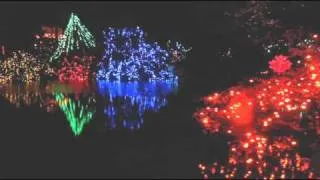 Bright Nights Christmas Train Vancouver Stanley Park Canada