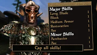 Morrowind But I've Made All My Skills One!