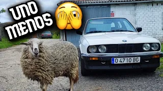 Nos DESPEDIMOS del E30 Blanco 🥲 Comenzamos SWAP M57 🔥 Y devolvemos a la vida el E28 😎