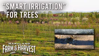 "Smart Irrigation" for Trees  |  MD F&H