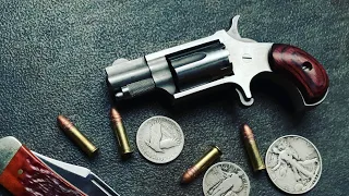 NAA Mini Revolver .22LR - Long Term Review - Shooting & Carry