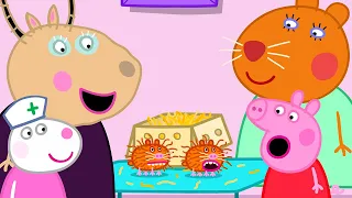 A Day With Doctor Hamster 🐹 Best of Peppa Pig 🐷 Cartoons for Children