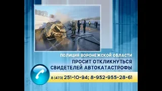 Воронежская полиция просит откликнуться свидетелей автокатастрофы в Нижнедевицком районе
