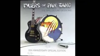 Tygers of Pan Tang: The Spellbound Sessions Promo/Tyger Bay