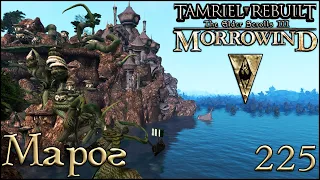 Morrowind Tamriel Rebuilt - Марог, #163 (225)