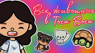 |•Все животные в Toca Boca life•|🐶🙈🐼Toca Boca life///Тока Бока лайф//✨Ri Toca 💕