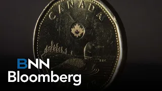 I don't see Loonie dropping to 50 cents next year: portfolio manager
